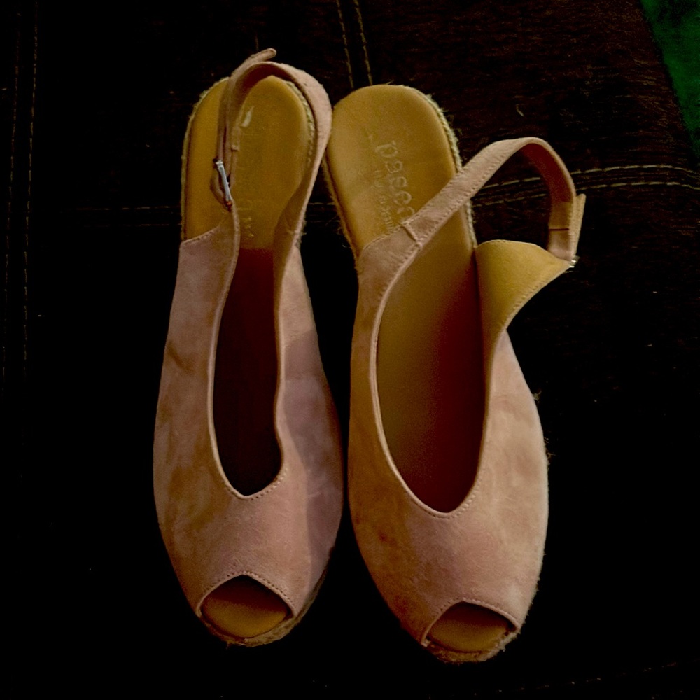 Paseart Wedges